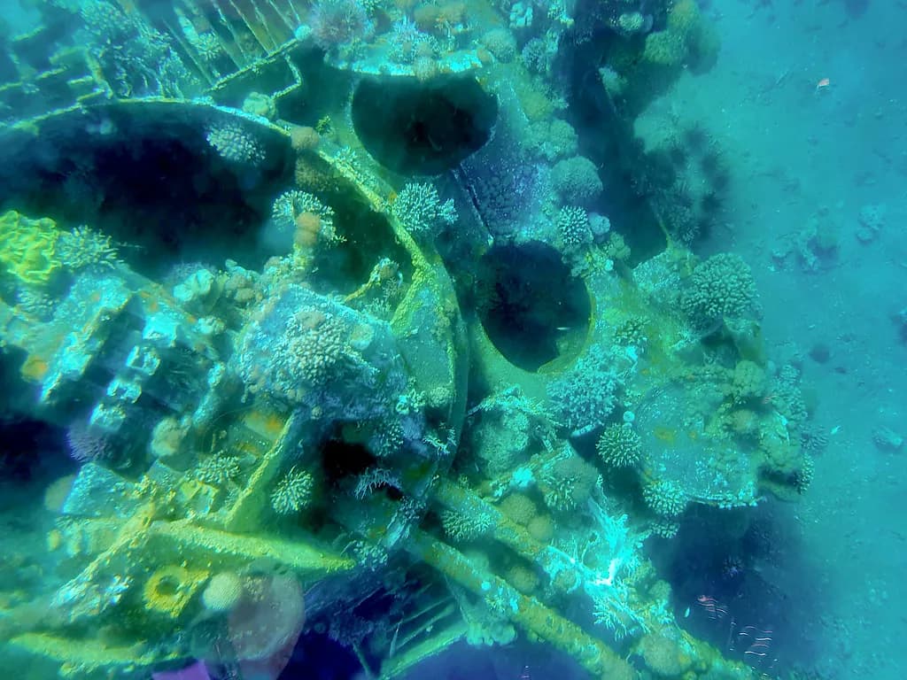 A diver approaching a sunken military vehicle on a sandy seabed