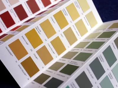 A fan of paint colour cards spread open