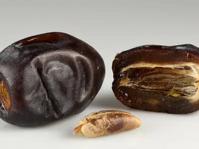 A bowl of dates