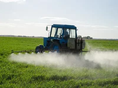 A farmer inspecting crops beside fertilizer and grain supplies