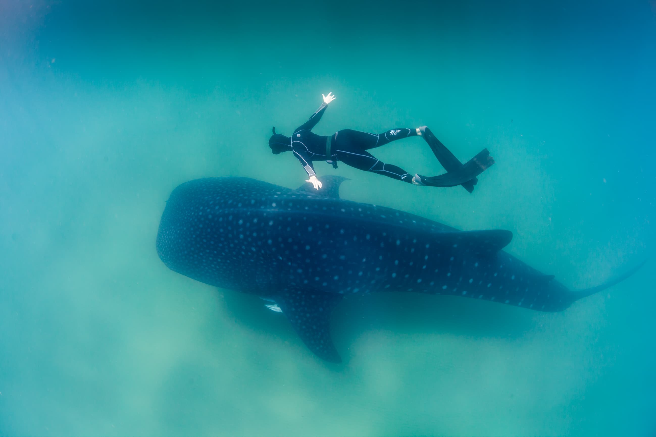 A freediver mid-descent along a guide line, one hand raised toward the ear in an equalising motion