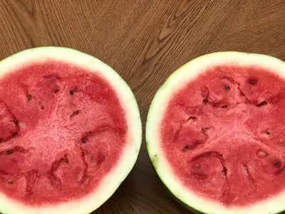 Slices of watermelon