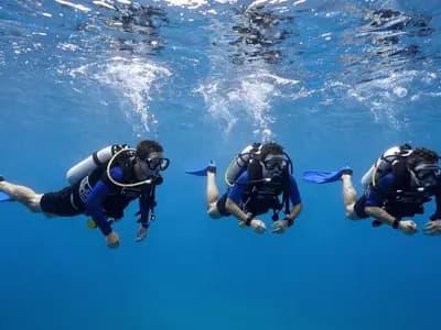 A team of divers holding horizontal trim together in mid-water, lights pointed forward