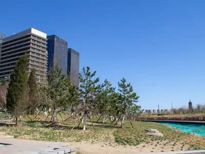 The Canal Business District in Tongzhou on the eastern edge of Beijing, the district where the underpass restaurant was built
