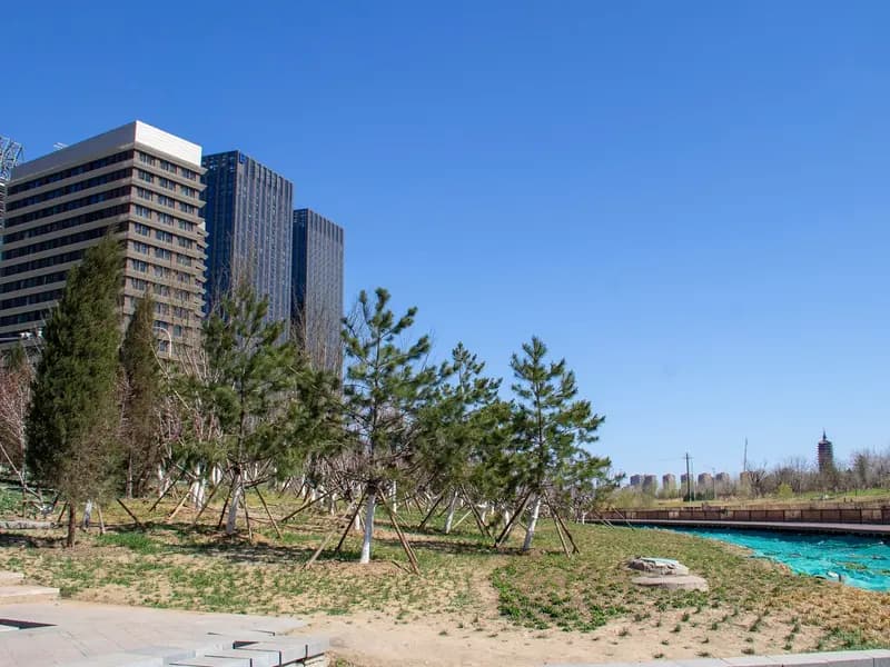 The Canal Business District in Tongzhou on the eastern edge of Beijing, the district where the underpass restaurant was built