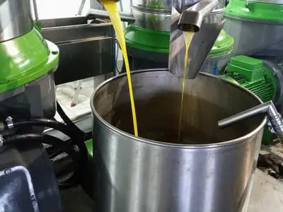 Fresh olive oil running from the press