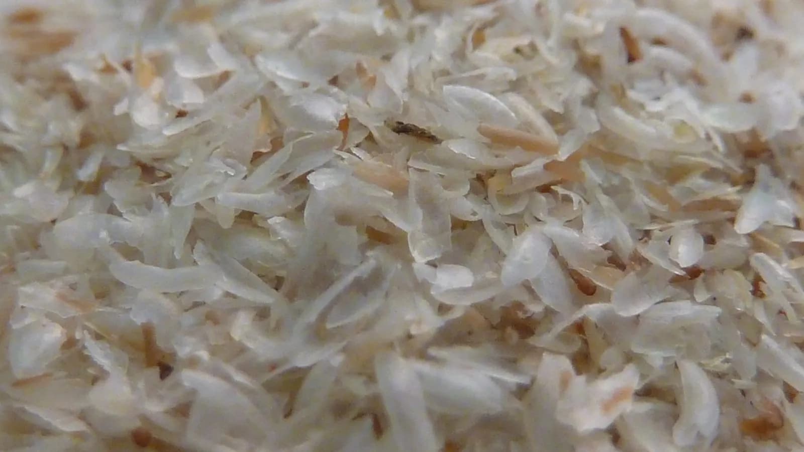 Psyllium seed husks