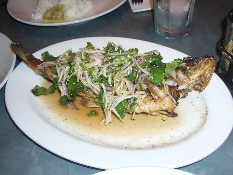 A whole roasted fish under a pale tahini sauce with herbs and walnuts
