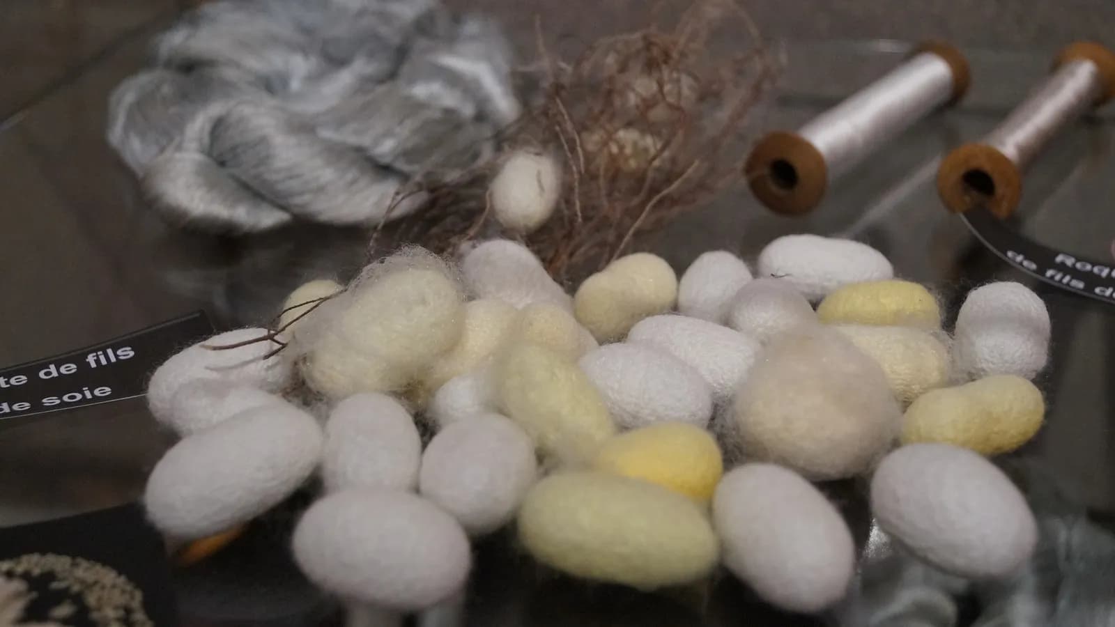 Silkworm cocoons in white and yellow beside skeins of raw silk and wooden reeling bobbins, in a display of the stages from cocoon to thread