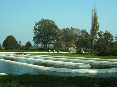 Open raceway ponds used to cultivate microalgae outdoors, the conventional growing method the study set out to improve on