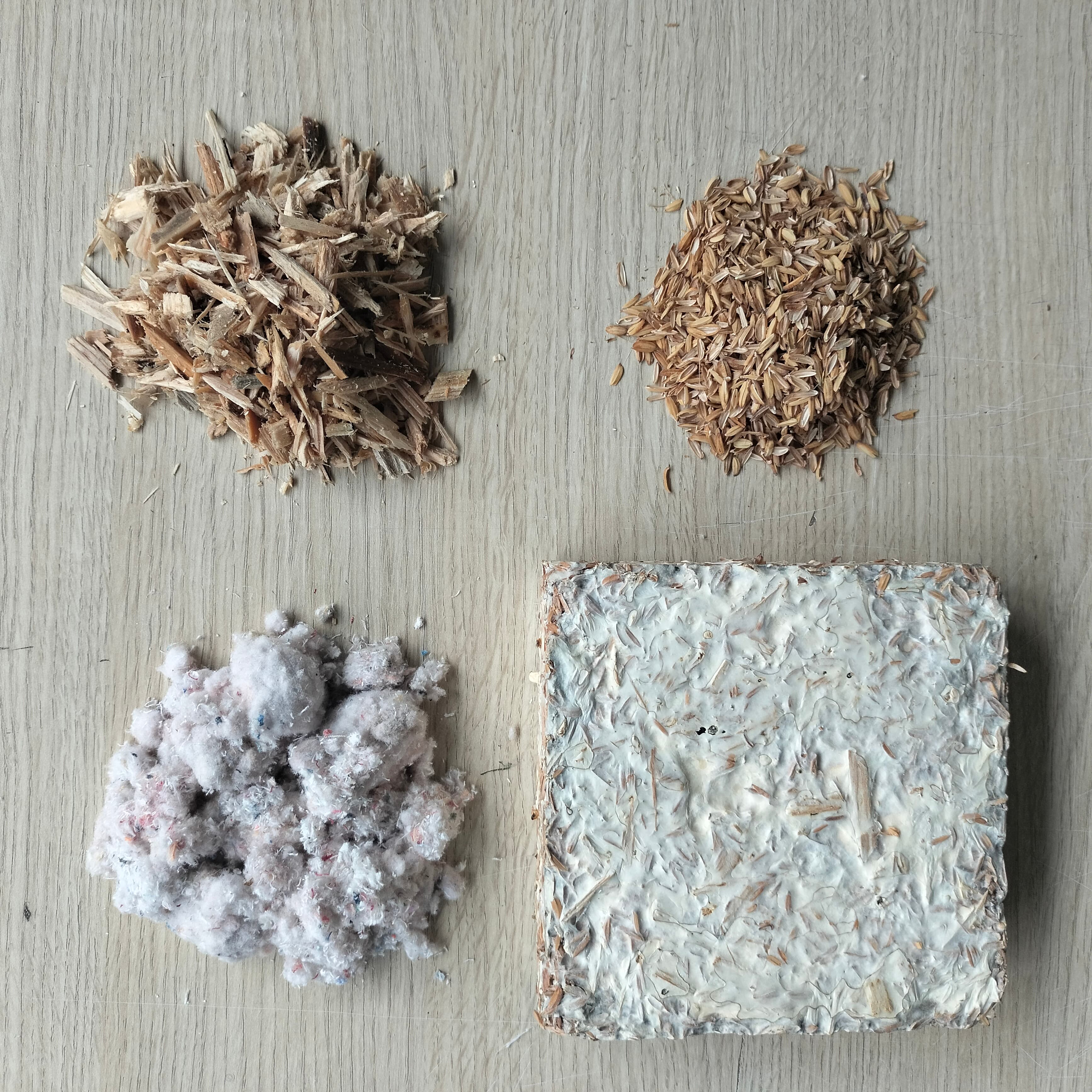 A sample of mycelium-based composite material showing its natural texture and structure