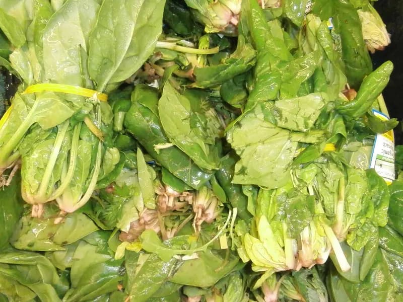 Bunches of fresh spinach stacked in a market crate