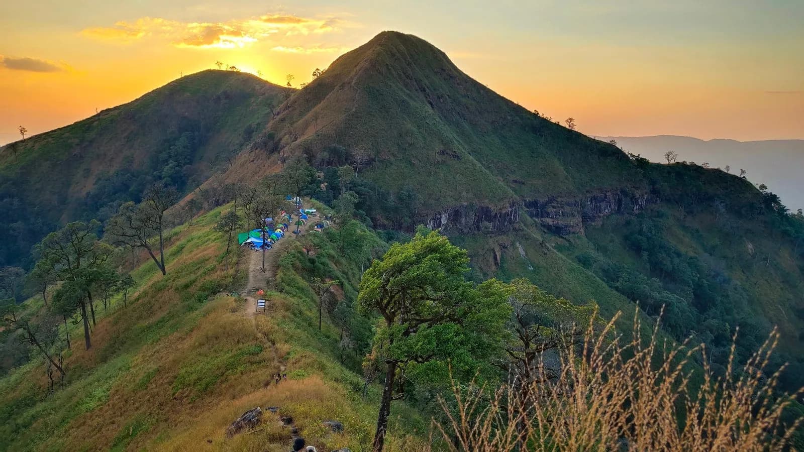 Sunset over the ridgeline at Khao Chang Phueak in Thong Pha Phum National Park, western Thailand, where the new species was found. The plant itself is not pictured