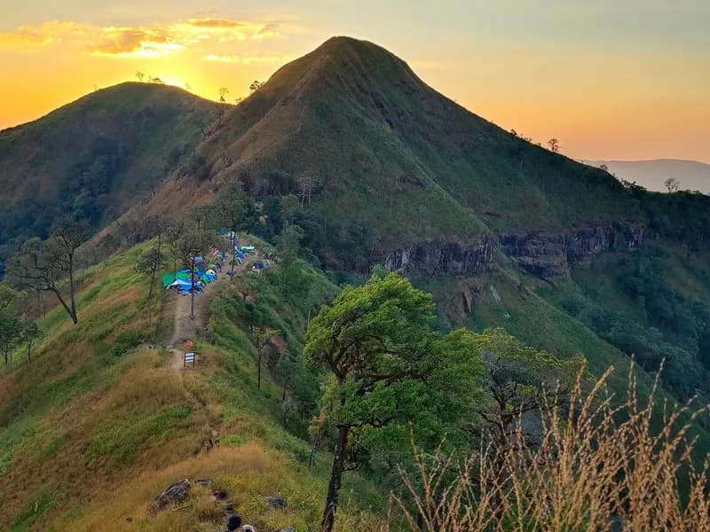 Sunset over the ridgeline at Khao Chang Phueak in Thong Pha Phum National Park, western Thailand, where the new species was found. The plant itself is not pictured