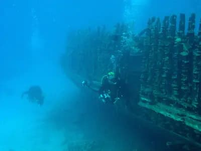 A diver silhouetted above a large steel shipwreck