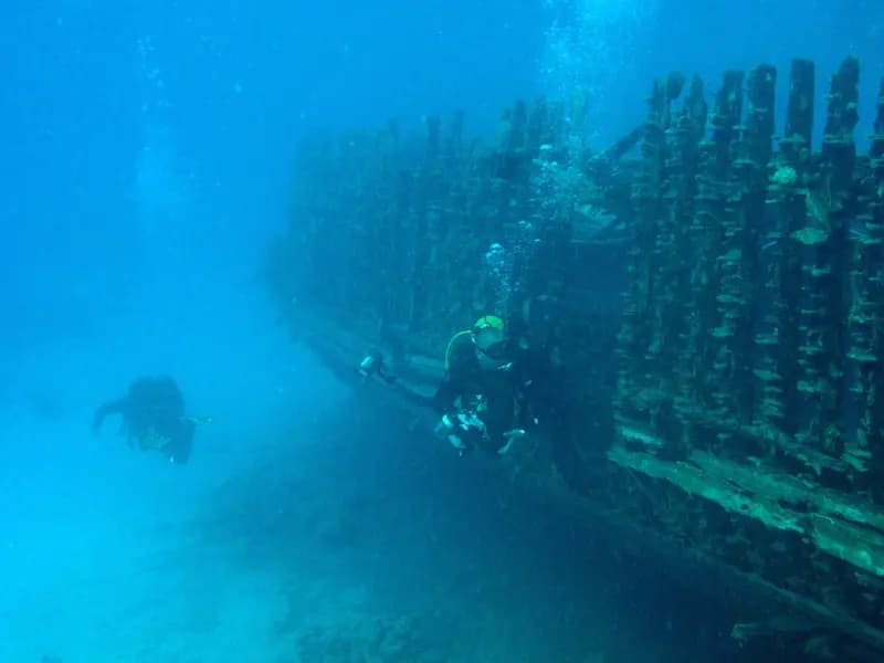 A diver silhouetted above a large steel shipwreck