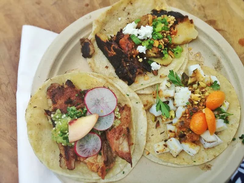 Corn tortillas filled with spiced chicken, herbs and a pale sesame sauce