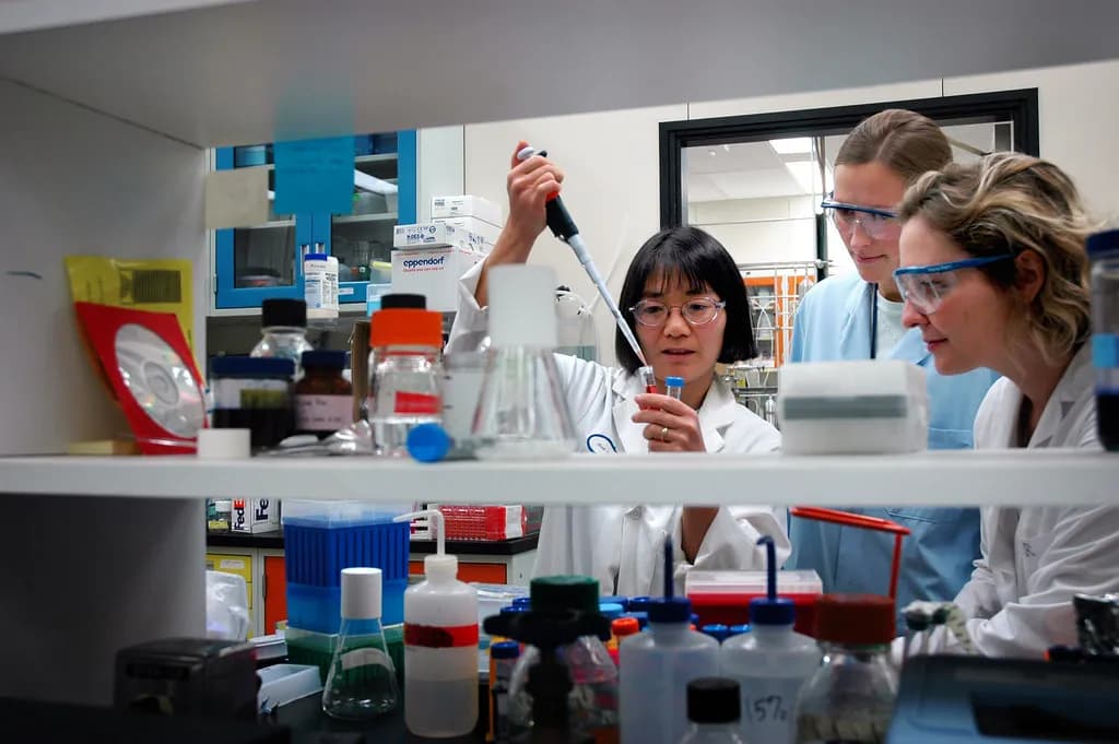 A scientist working with automated laboratory equipment