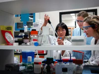 A scientist working with automated laboratory equipment