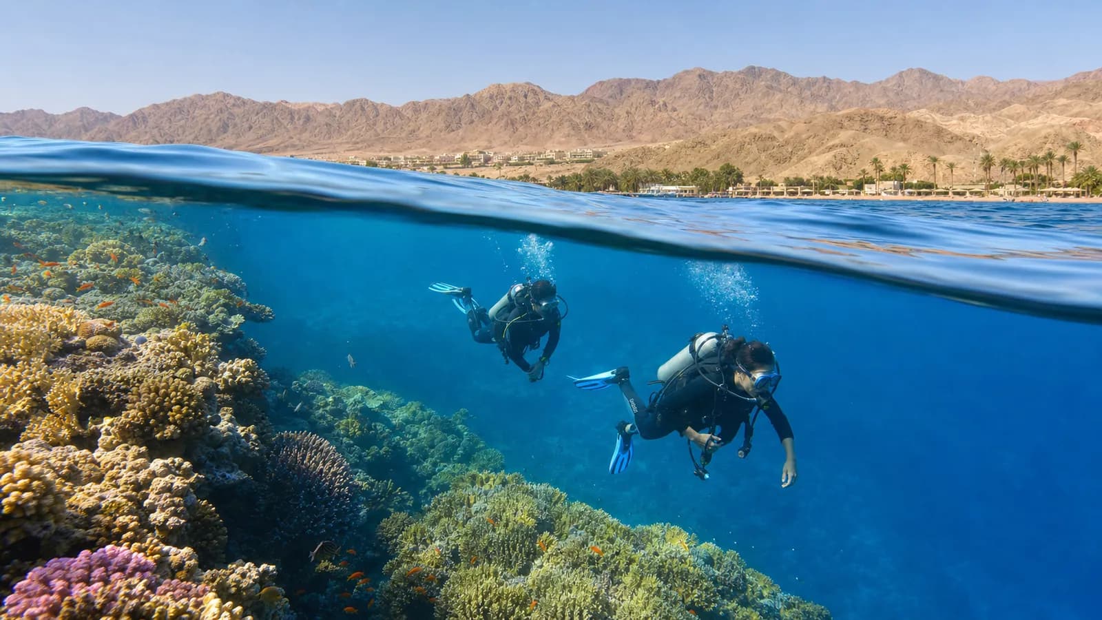 Scuba divers exploring the coral-rich Red Sea coast near Aqaba
