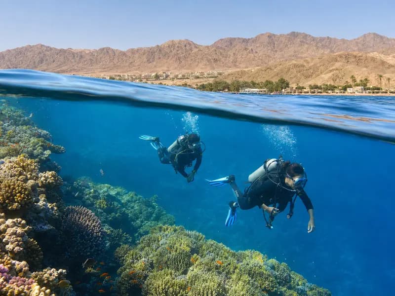 Scuba divers exploring the coral-rich Red Sea coast near Aqaba