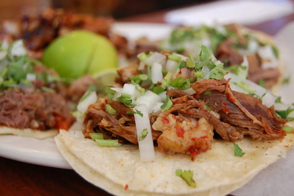 Griddled quesabirria tacos with melted cheese and shredded beef, served with a cup of red consomme for dipping