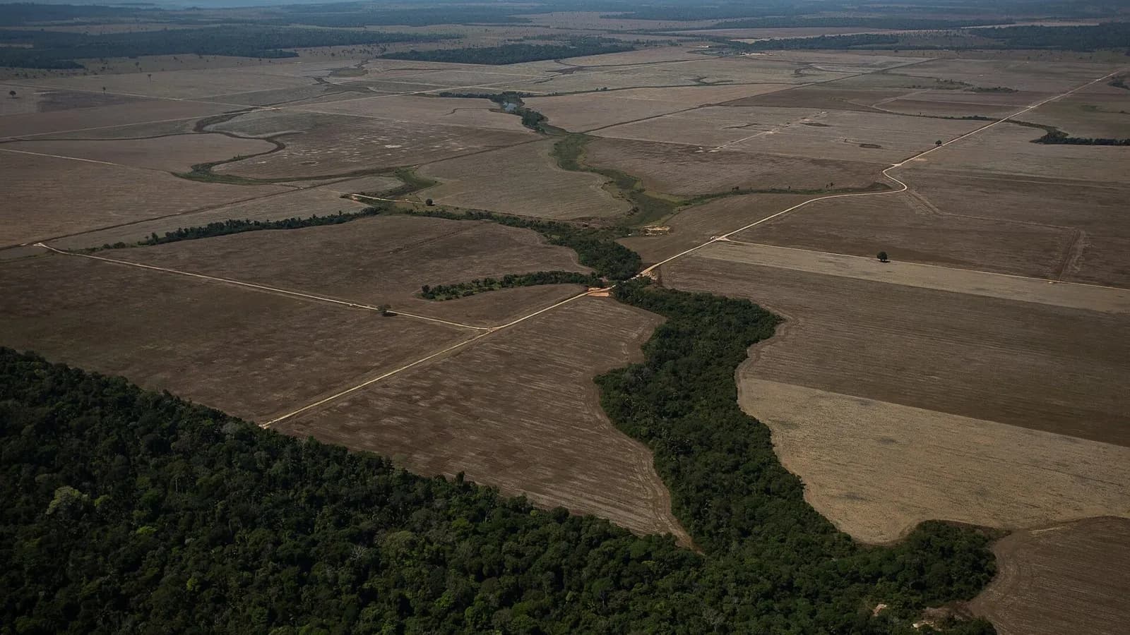 An aerial view of the edge of the Amazon forest meeting cleared farmland in Rondonia, Brazil, photographed on 7 August 2020, a file photograph illustrative of forest clearing and not of this year's figures