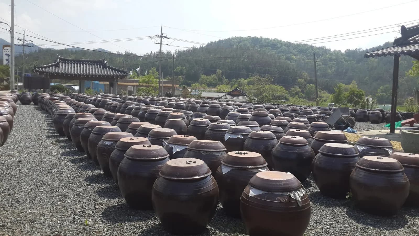 Traditional Korean earthenware storage jars, known as jangdok, photographed in Gangjin, South Korea in May 2015, illustrative of Korean ceramic craft and not an object from the exhibition itself