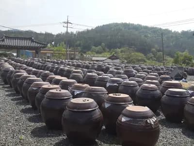 Traditional Korean earthenware storage jars, known as jangdok, photographed in Gangjin, South Korea in May 2015, illustrative of Korean ceramic craft and not an object from the exhibition itself