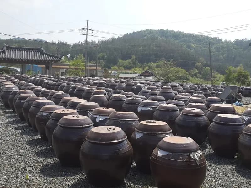 Traditional Korean earthenware storage jars, known as jangdok, photographed in Gangjin, South Korea in May 2015, illustrative of Korean ceramic craft and not an object from the exhibition itself