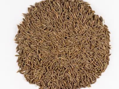 Whole cumin seeds photographed close up against white. Cumin is the first of the three seeds in this infusion and the one that dominates if you use too much