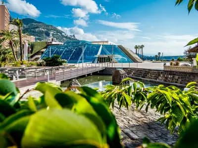 The Grimaldi Forum in Monaco, where the Champions League league phase draw is held