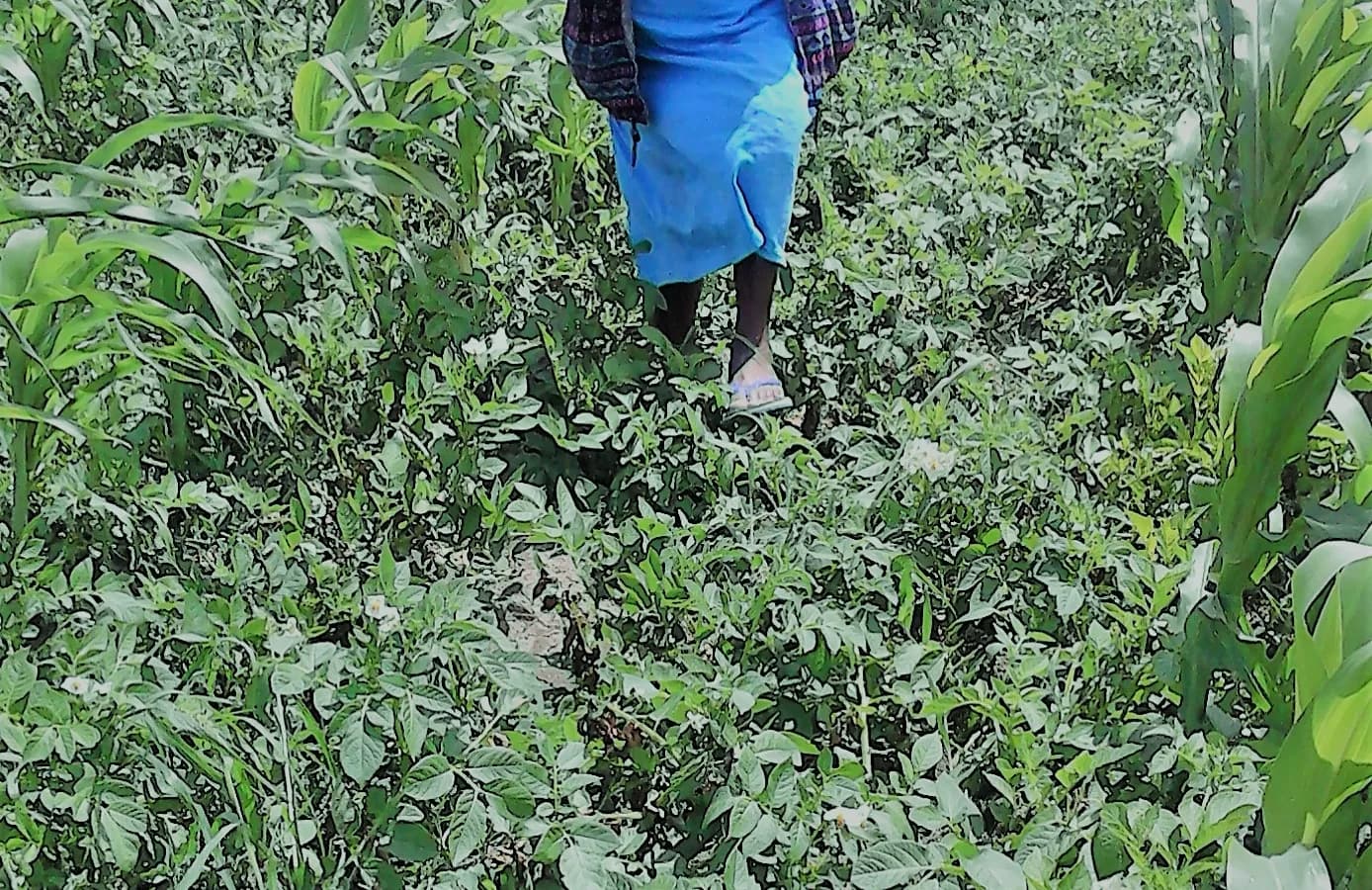 Women farmers discussing finances and climate resilience in a rural community