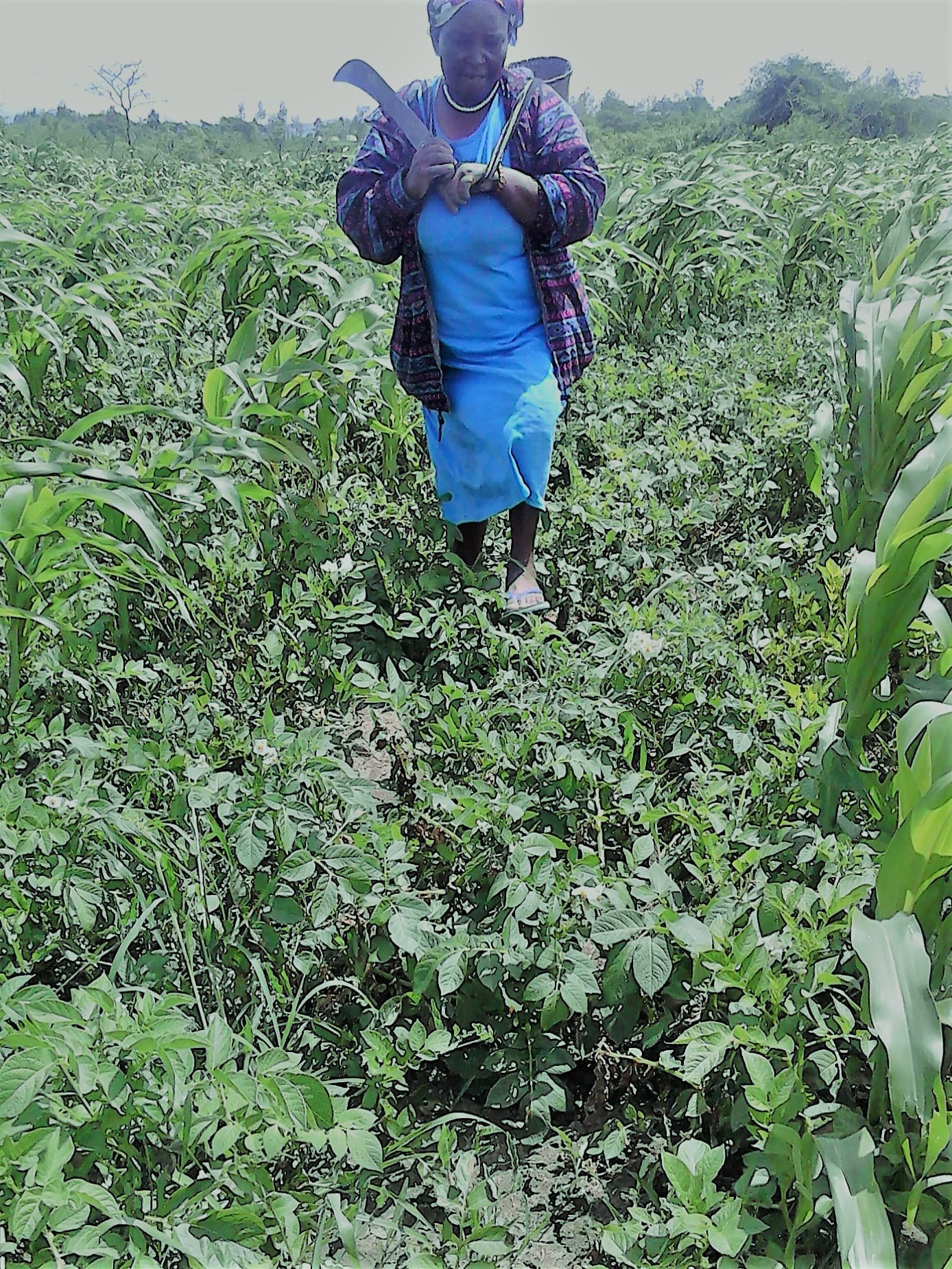 Women farmers discussing finances and climate resilience in a rural community