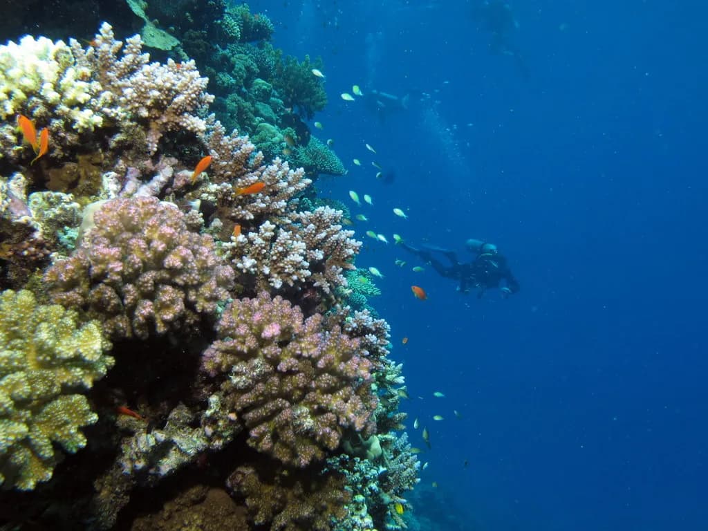 Aerial view of the circular Blue Hole sinkhole in the reef off Dahab, Egypt, with clear turquoise water