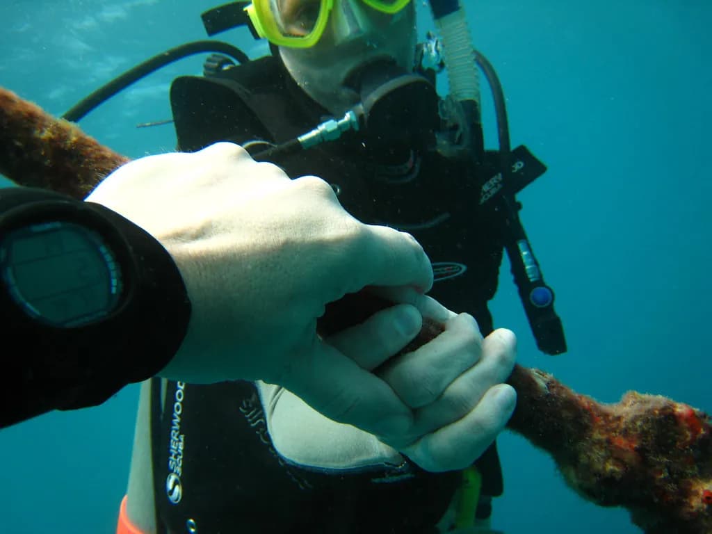 A close-up of a scuba diver's wrist-mounted dive computer showing depth and time readouts underwater