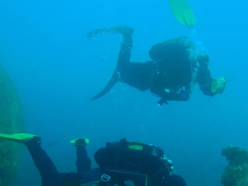 A scuba diver at the surface in open water