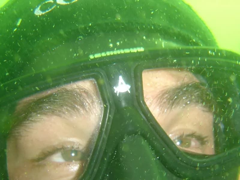 A diver underwater looking through a half mask