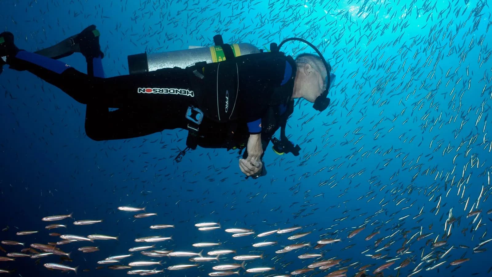 A diver moving beneath an enormous school of silver baitfish in open blue water