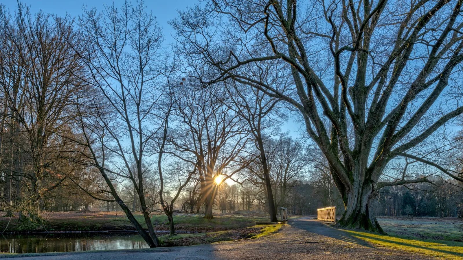 A path through parkland