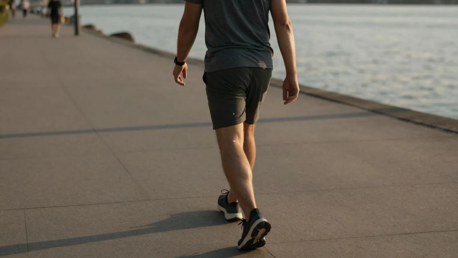 A walker on a waterfront promenade at dusk