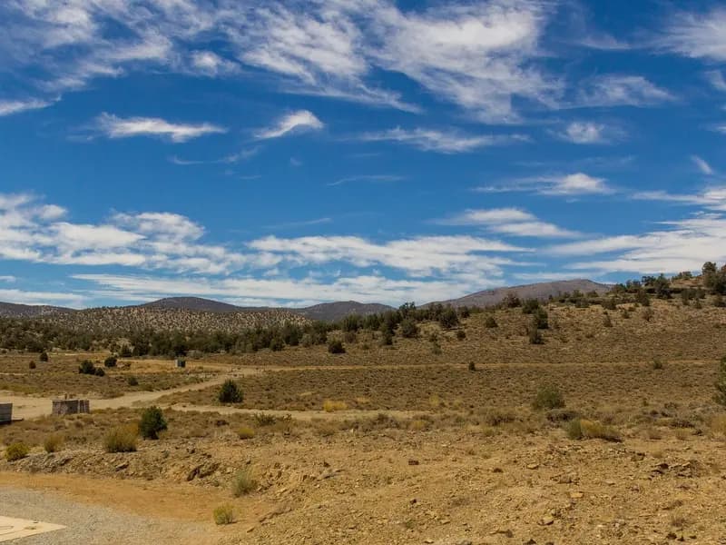 Radio dishes at Caltech's Owens Valley Radio Observatory in California, home of the Deep Synoptic Array that caught the bursts