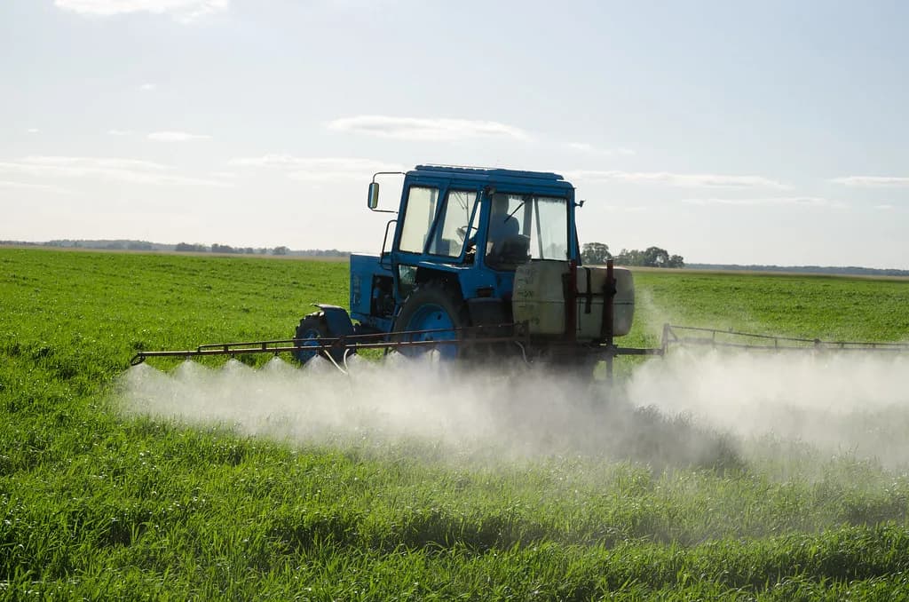A farmer inspecting crops beside fertilizer and grain supplies