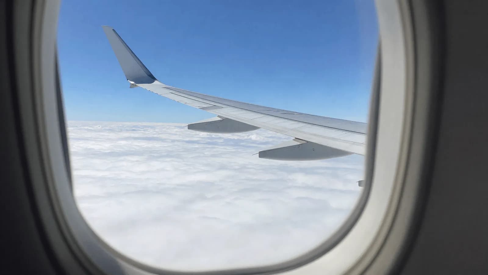 An aircraft wing above cloud, seen from a passenger window