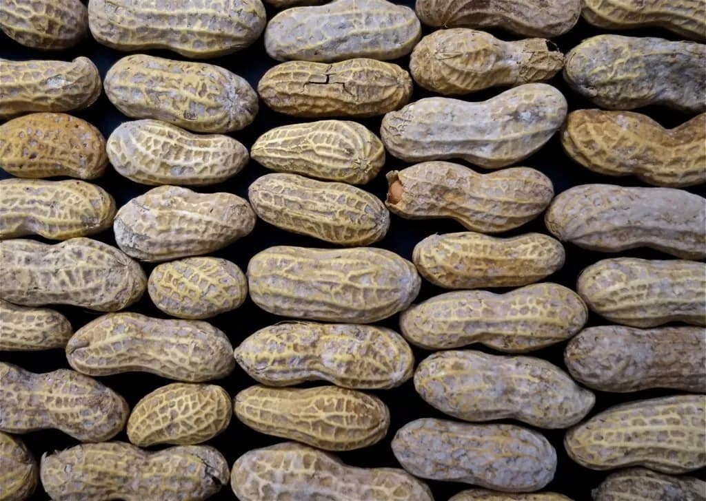 A bowl of peanuts on a kitchen surface