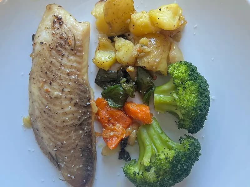 A home-cooked plate of pan-seared fish with potatoes and vegetables, photographed on 28 December 2025, a file photograph illustrative of a prepared healthy meal and not of the trial's meals