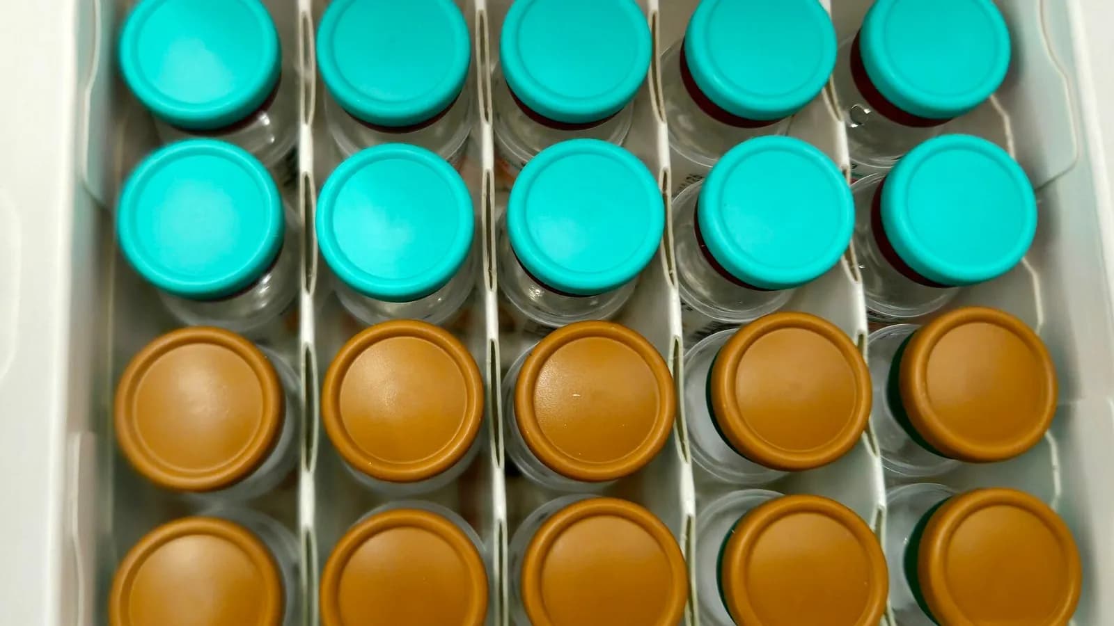 Rows of small unlabelled medicine vials with turquoise and amber caps standing in a tray, photographed on 16 October 2024, a file photograph of injectable vials in general and not of any of the six peptides