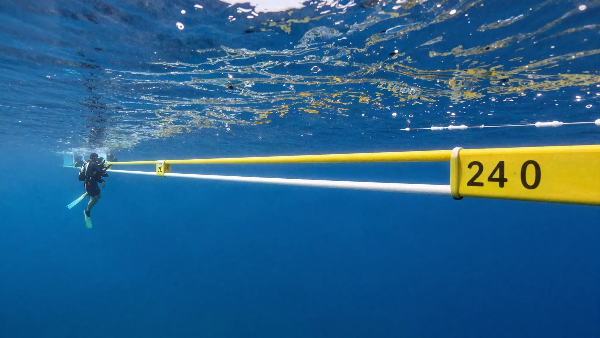 A competition descent line with safety divers above