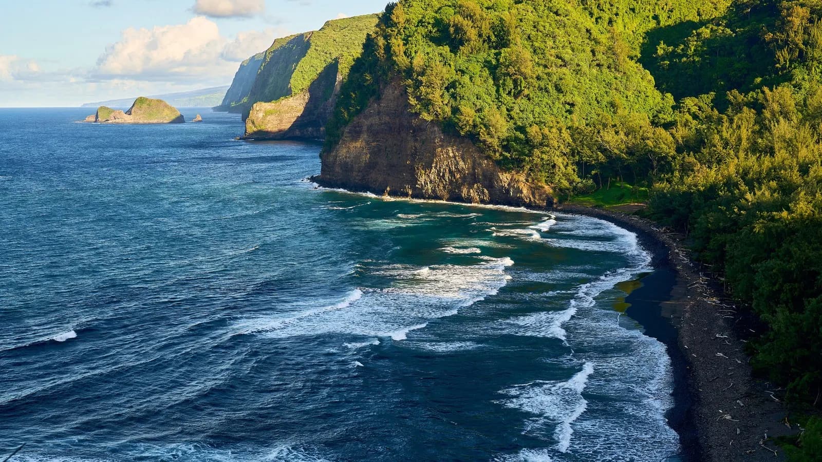 A wooded stretch of the Big Island of Hawaii's coastline, illustrative of the terrain under Hurricane Nolo's flood warning, photographed in September 2021