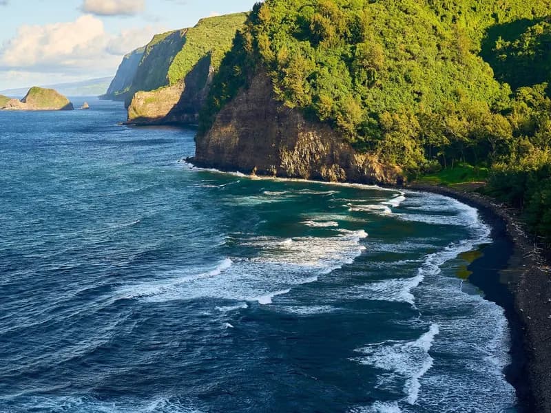 A wooded stretch of the Big Island of Hawaii's coastline, illustrative of the terrain under Hurricane Nolo's flood warning, photographed in September 2021